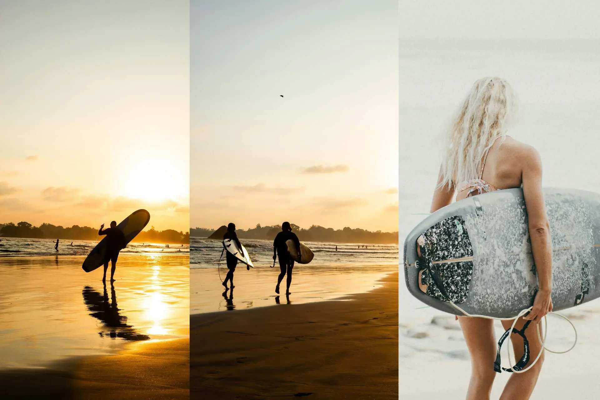 Best Surfing in Sri Lanka 2025: Complete Guide to Surf Spots & Seasons